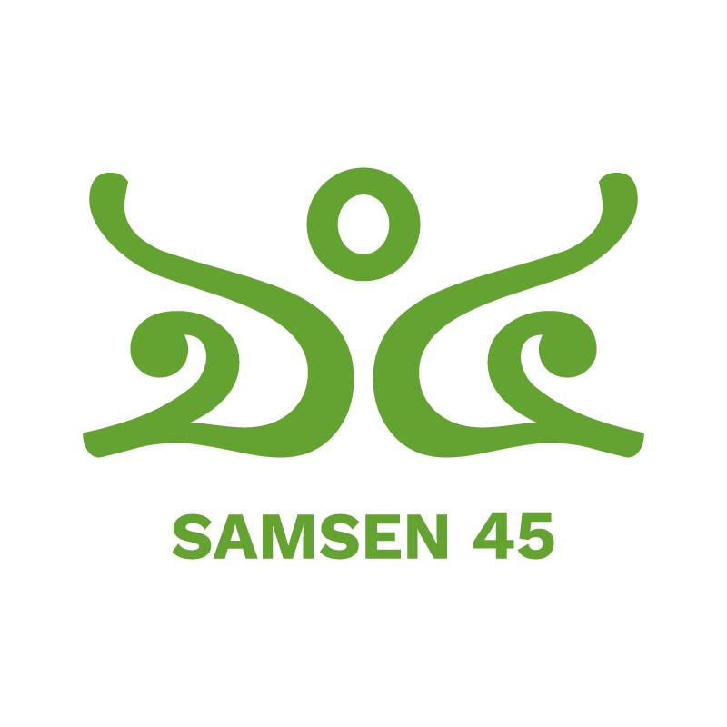 Samsen 45 Logo